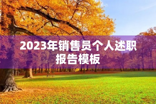 2023年销售员个人述职报告模板（10篇）