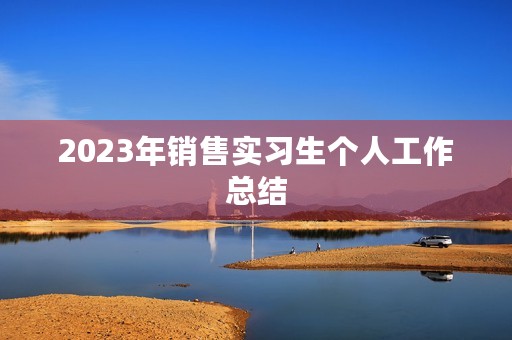 2023年销售实习生个人工作总结