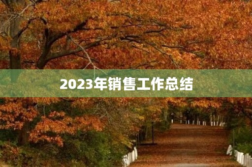 2023年销售工作总结