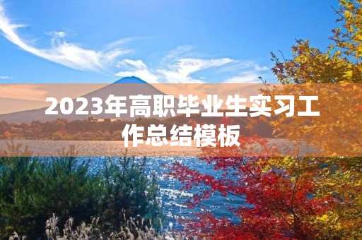 2023年高职毕业生实习工作总结模板