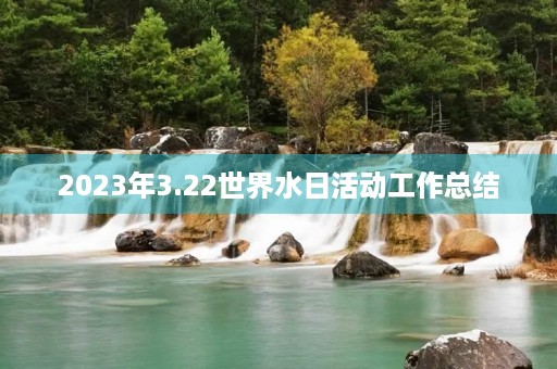 2023年3.22世界水日活动工作总结