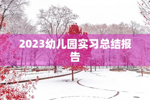 2023幼儿园实习总结报告 2023幼儿园实习总结报告