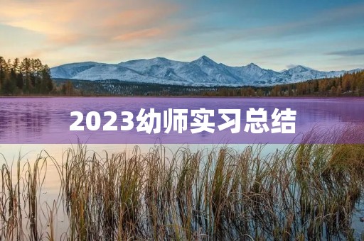 2023幼师实习总结 2023幼师实习总结