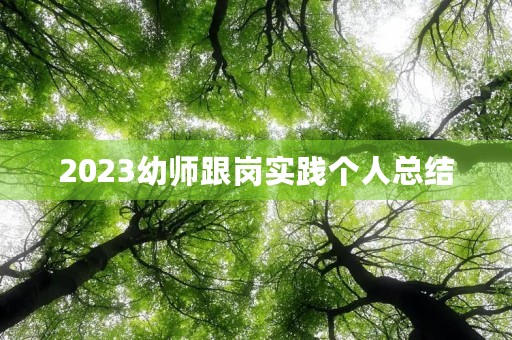 2023幼师跟岗实践个人总结