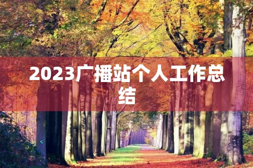 2023广播站个人工作总结