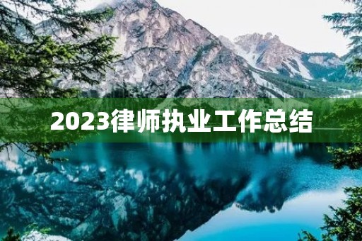 2023律师执业工作总结