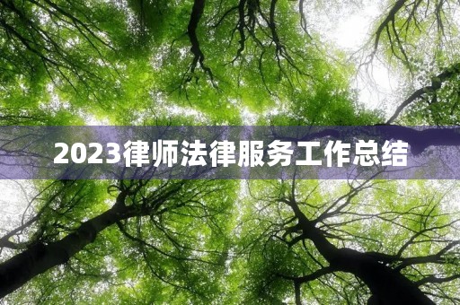 2023律师法律服务工作总结