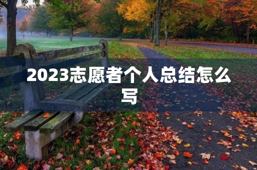 2023志愿者个人总结怎么写