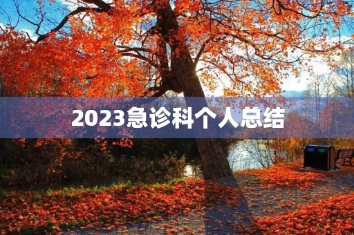 2023急诊科个人总结