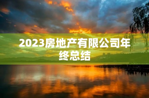 2023房地产有限公司年终总结