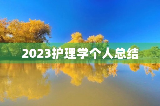 2023护理学个人总结 2023护理学个人总结