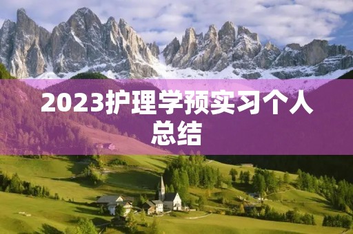 2023护理学预实习个人总结