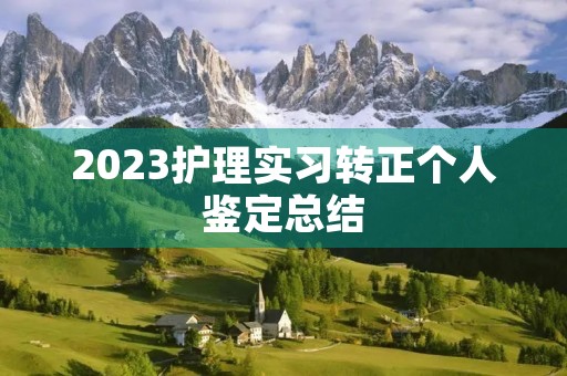 2023护理实习转正个人鉴定总结 2023护理实习转正个人鉴定总结
