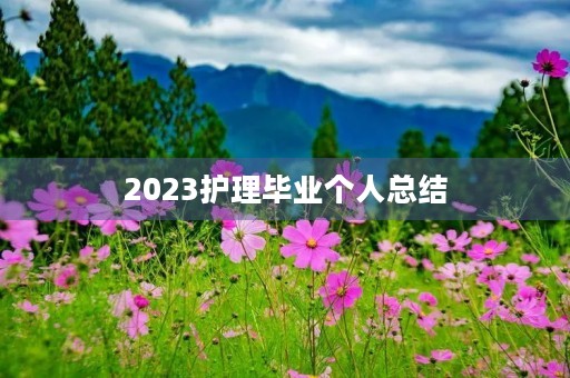 2023护理毕业个人总结