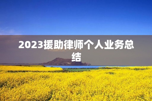 2023援助律师个人业务总结