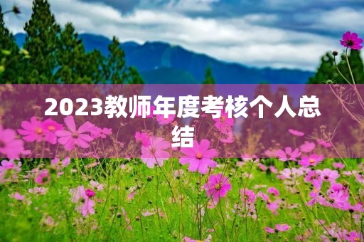 2023教师年度考核个人总结