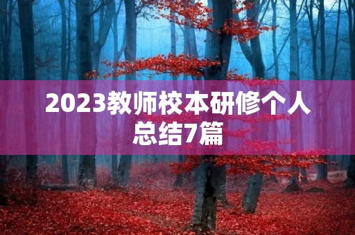 2023教师校本研修个人总结7篇