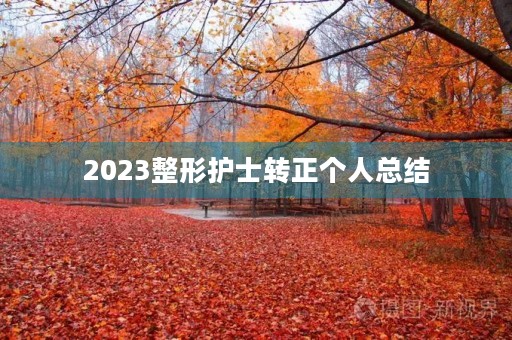 2023整形护士转正个人总结