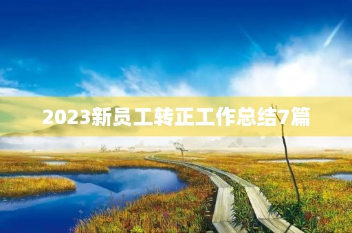 2023新员工转正工作总结7篇