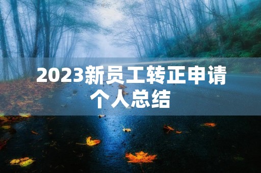 2023新员工转正申请个人总结