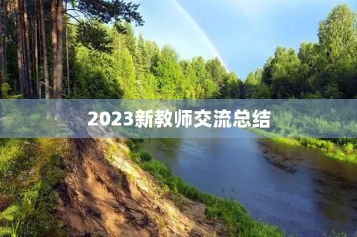 2023新教师交流总结