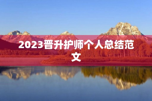 2023晋升护师个人总结范文