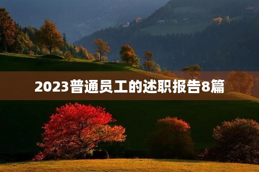 2023普通员工的述职报告8篇