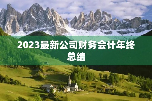 2023最新公司财务会计年终总结