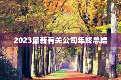 2023最新有关公司年终总结