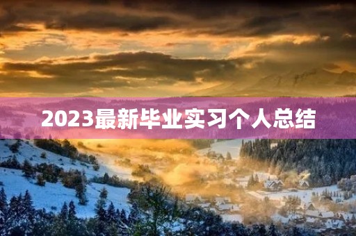 2023最新毕业实习个人总结（10篇）