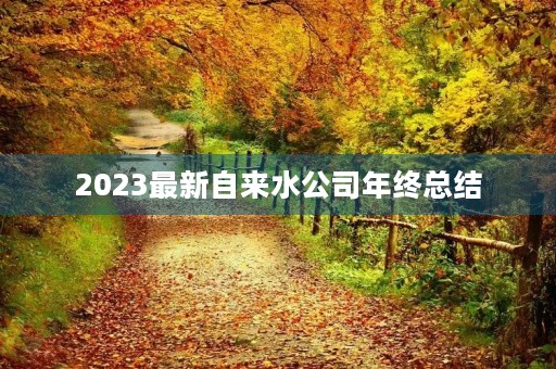 2023最新自来水公司年终总结