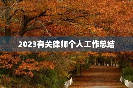 2023有关律师个人工作总结