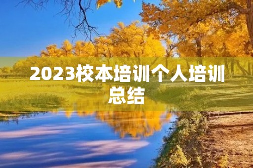 2023校本培训个人培训总结