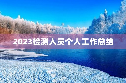 2023检测人员个人工作总结