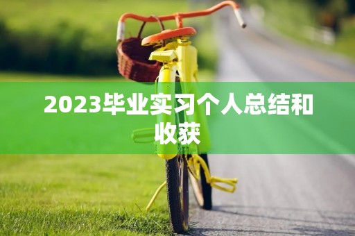 2023毕业实习个人总结和收获（11篇）