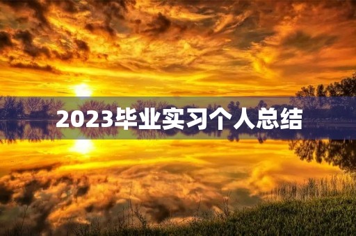 2023毕业实习个人总结