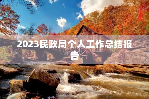 2023民政局个人工作总结报告