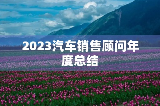 2023汽车销售顾问年度总结
