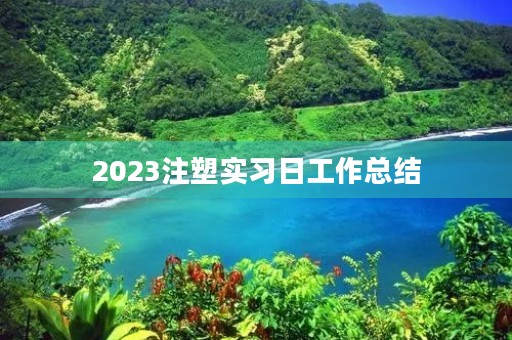 2023注塑实习日工作总结