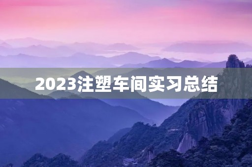 2023注塑车间实习总结