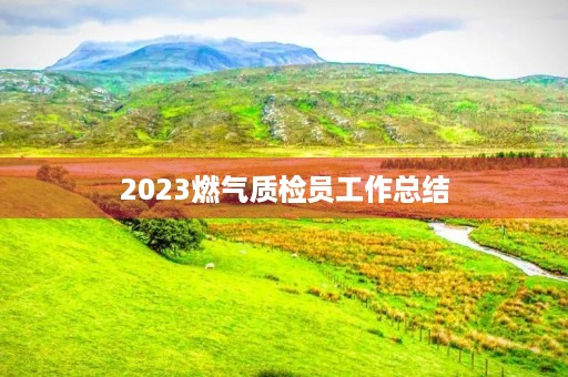 2023燃气质检员工作总结