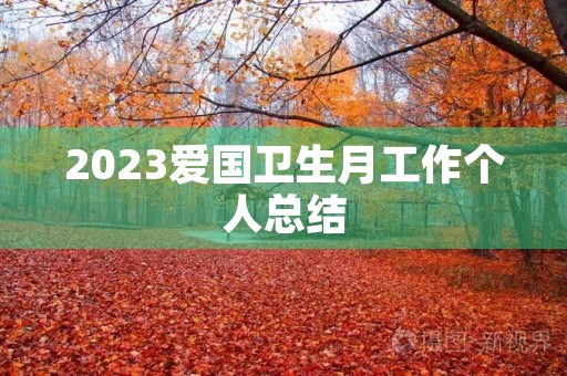 2023爱国卫生月工作个人总结
