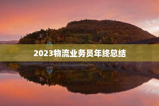 2023物流业务员年终总结