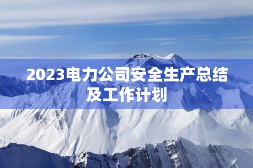 2023电力公司安全生产总结及工作计划