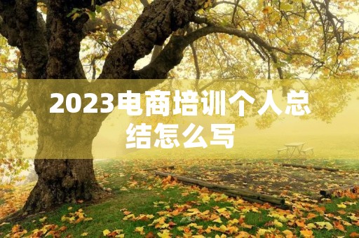 2023电商培训个人总结怎么写
