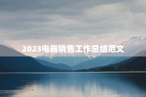 2023电器销售工作总结范文