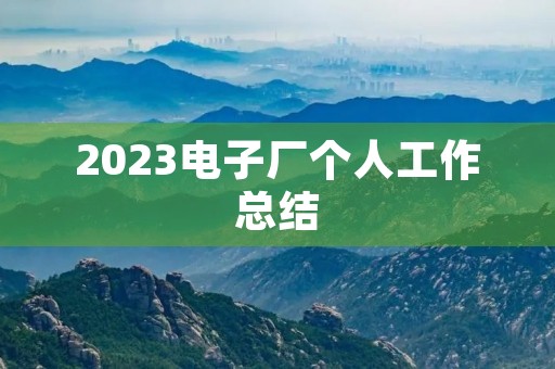 2023电子厂个人工作总结