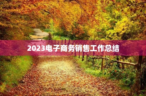 2023电子商务销售工作总结