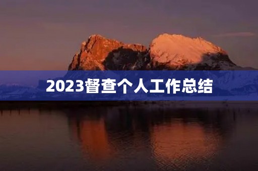 2023督查个人工作总结（20篇）