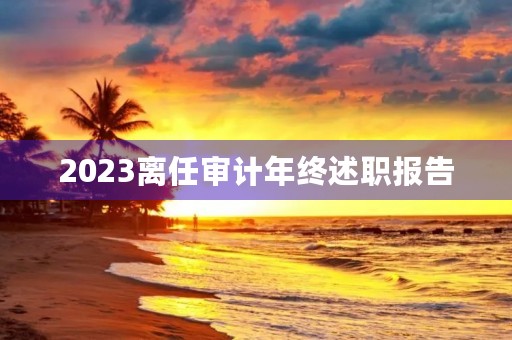 2023离任审计年终述职报告
